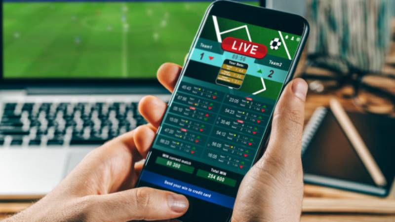 Tin tức 100WIN về cách chơi cá cược